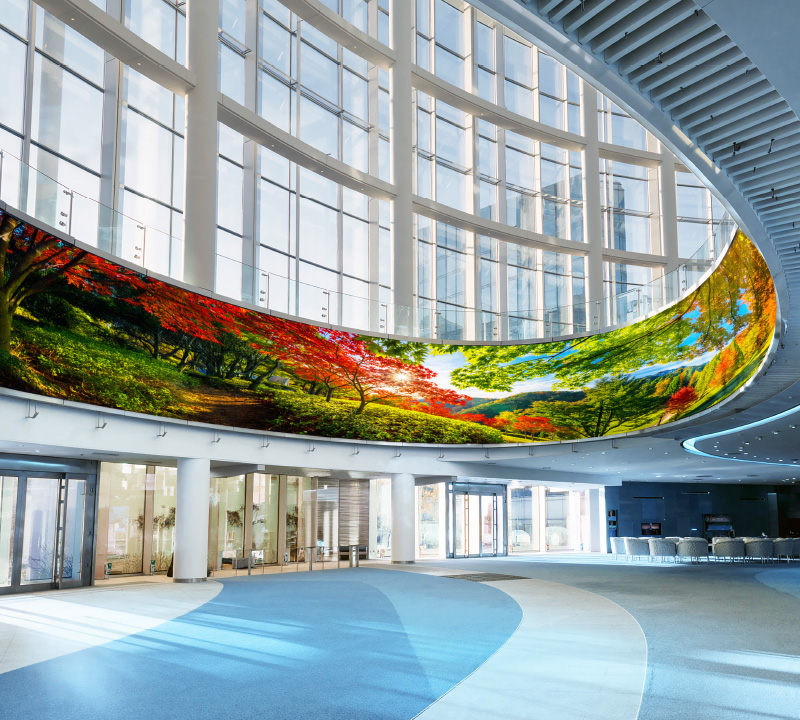 High brightness LED with VividLife