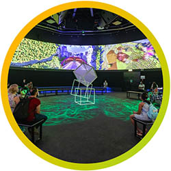 immersive experiences