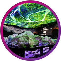 budget-friendly solutions