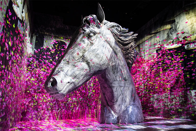 Stunning projection mapping on and around the beautiful and massive marble sculpture of Dubai Millenium, the horse beloved by Sheikh Mohammed bin Rashid Al Maktoum, illustrates a powerful story of perseverance and victory.