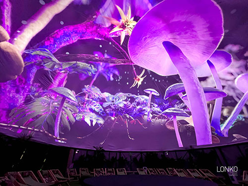 A projection on the interior of a dome of pinkish purple mushrooms seen from underneath.