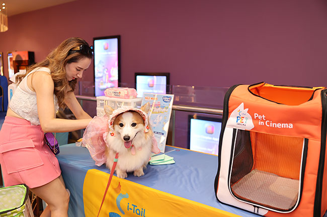 A woman leans over her dog, which is sitting on a table and is wearing a bonnet and frilly skirt.