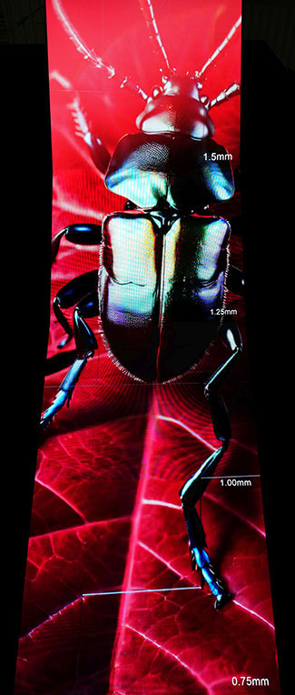 A tall, slightly bent LED video wall displays an image of a beetle on a trade show booth. 