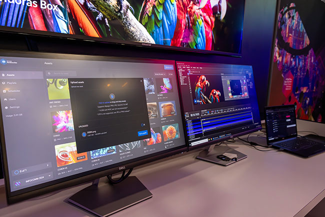 Close-up of two computer monitors on a desk.