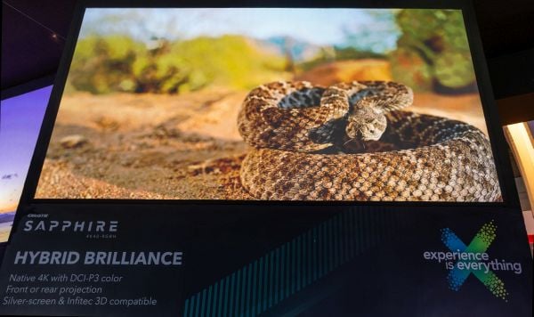 A large screen with a projected image of a snake.