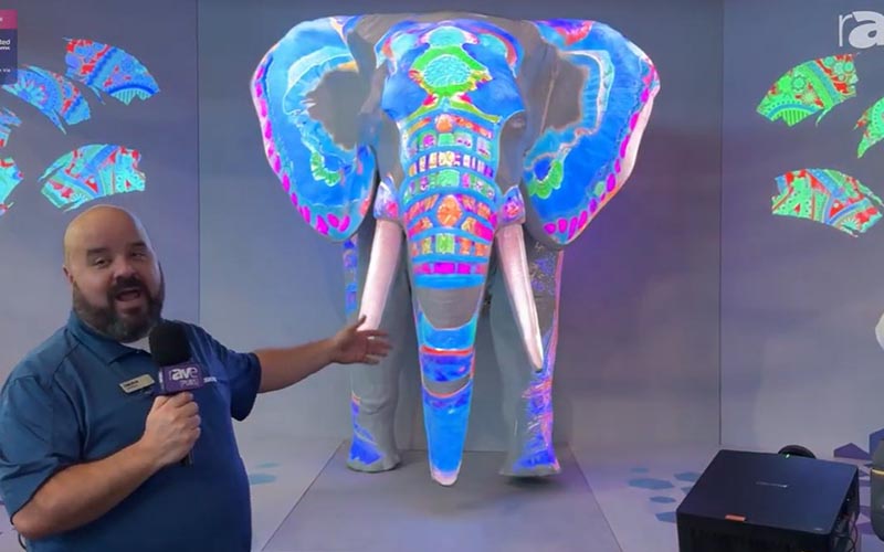 Rave M4K and Jazz thumbnail